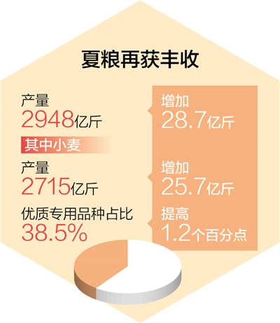 农业农村经济保持良好发展势头（经济新方位・年中数据怎么看）