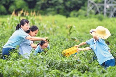 多彩暑假 快乐童年