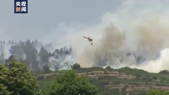 全球多国遭遇极端天气 野火频发 供电紧张