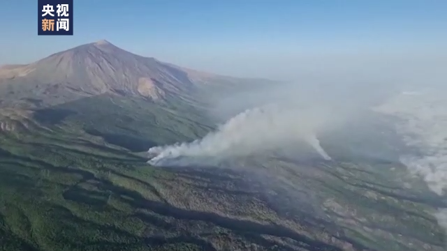 全球多国遭遇极端天气 野火频发 供电紧张