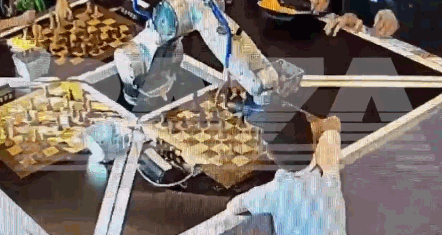 罕见！国际象棋机器人折断俄7岁男孩手指，因小男孩未等其完成动作